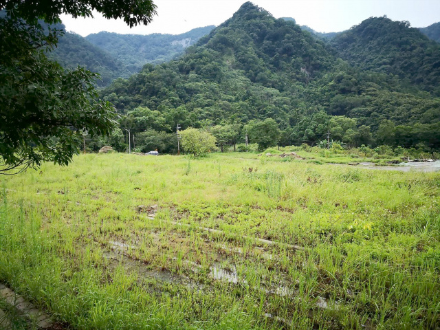 南庄丁建+農牧用地^~^正8米路邊