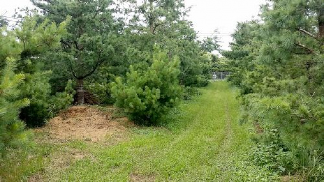 五葉松休閒農牧用地^~^頭份成交快房屋