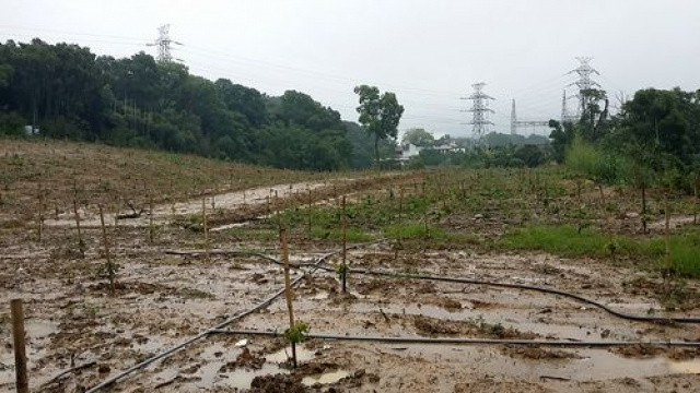 東方球場旁休閒地^~^新竹休閒地買賣