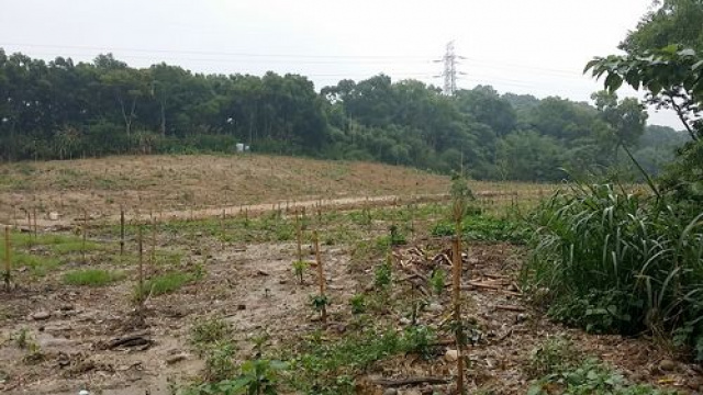 東方球場旁休閒地^~^新竹休閒地買賣