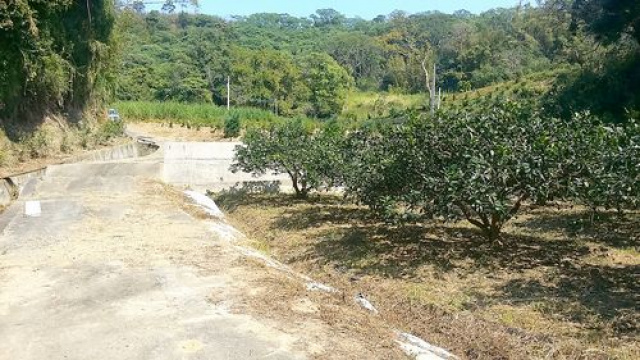 頭份濫坑真柏樹園地^~^已申請資材室