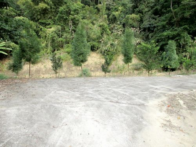 頭份郊區休閒地^~^頭份休閒山坡地買賣