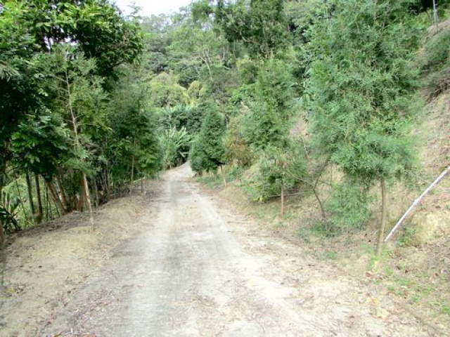 頭份郊區休閒地^~^頭份休閒山坡地買賣