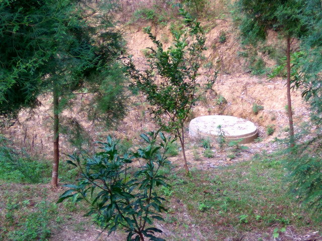頭份郊區休閒地^~^頭份休閒山坡地買賣