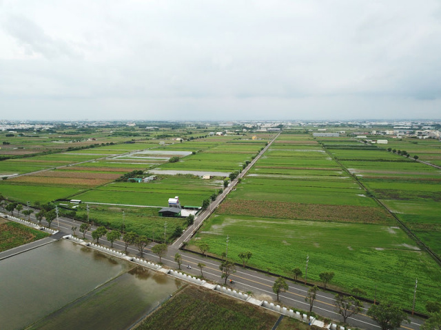 佳里近成功路田地