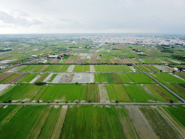 佳里近成功路田地