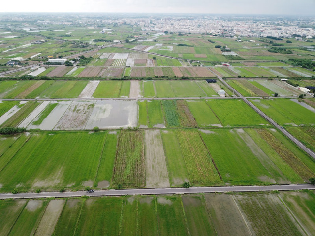 佳里近成功路田地