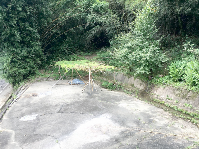 獅潭休閒山坡地+建地(87坪)投資最佳標的