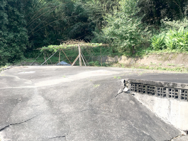 獅潭休閒山坡地+建地(87坪)投資最佳標的