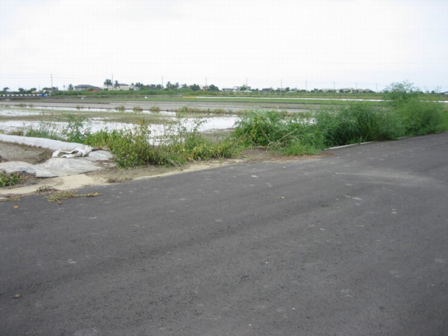 佳里蚶寮段田地