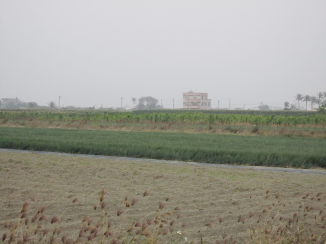 佳里塭子內田地