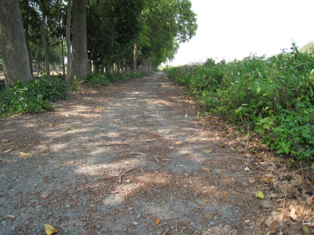 佳里民安段農地