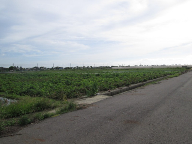 佳里蚶寮段田地