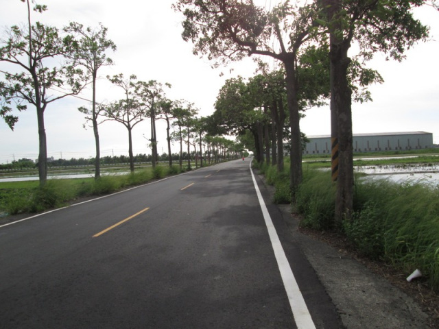佳里蚶寮段田地
