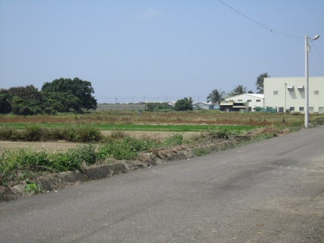 佳里港墘段田地