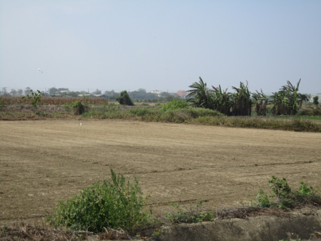 佳里港墘段田地