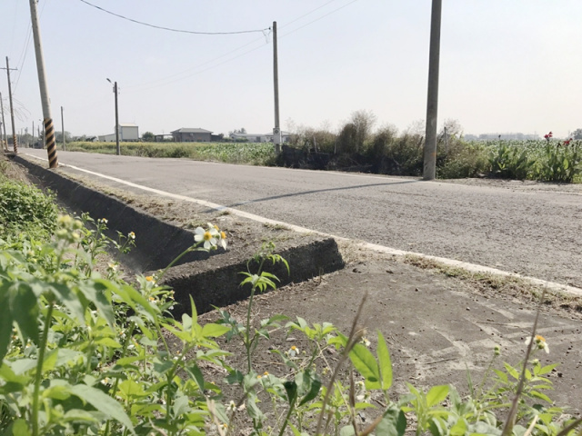 佳里港墘段田地