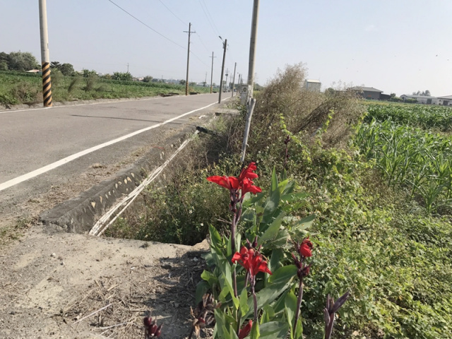 佳里港墘段田地