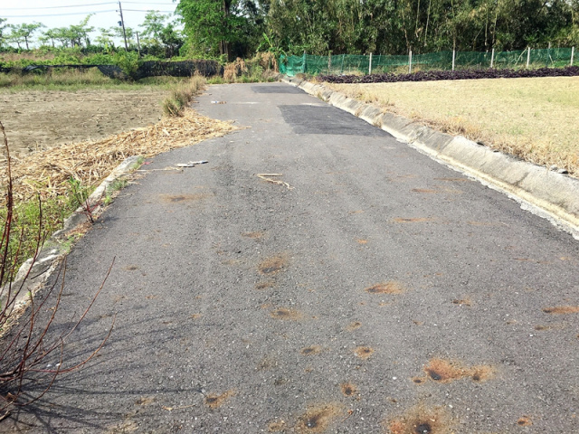 佳里勝利路旁農地