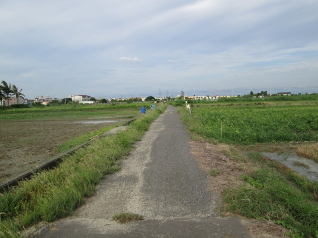 佳里成功路都計內農地