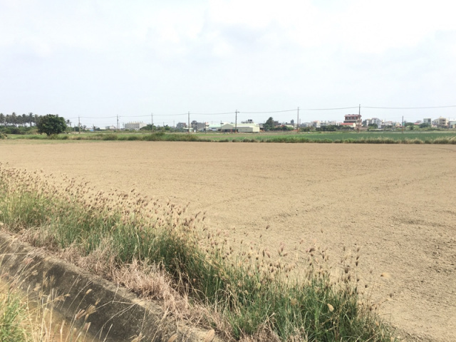 佳里興化段農地