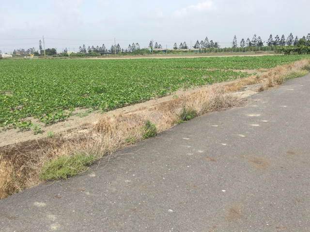 佳里興化段農地