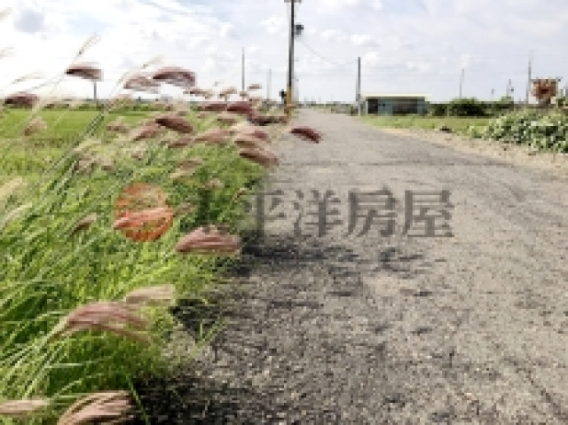 麻豆南寮段田地