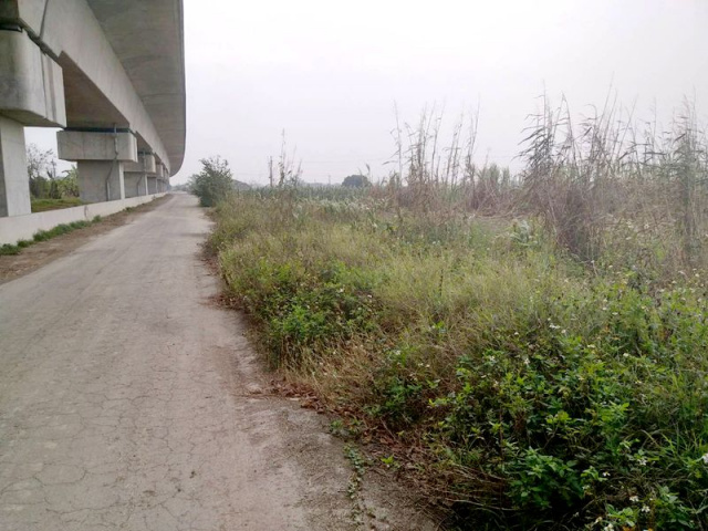 善化六分寮段田地