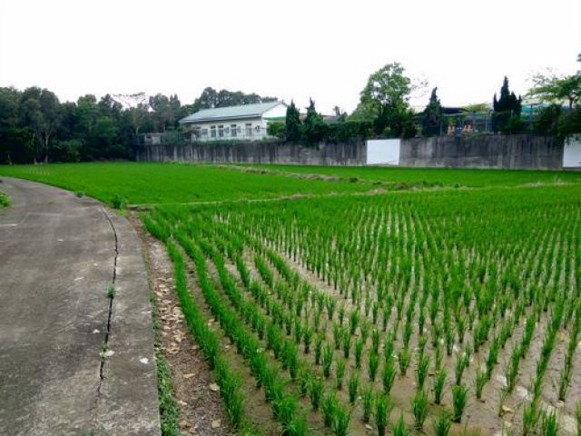 苗栗竹南都計便宜農地*-*頭份成交快土地房屋