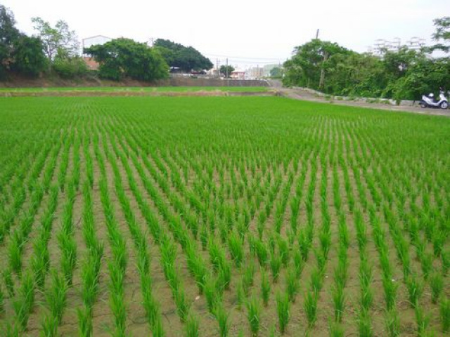 苗栗竹南都計便宜農地*-*頭份成交快土地房屋