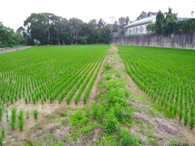 苗栗竹南都計便宜農地*-*頭份成交快土地房屋