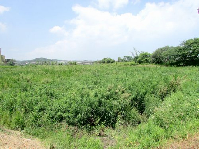 苗栗縣竹南公館便宜農地^~^介紹買賣農地