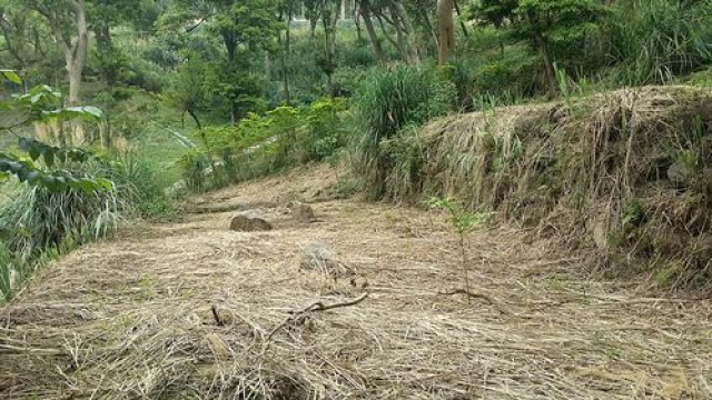 頭份在水一方休閒美地*-*超便宜社區型休閒地