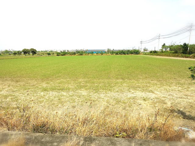 西港劉厝段田地