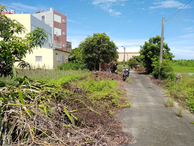 七股竹橋段四正方農地