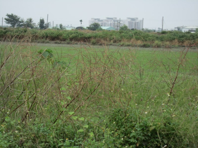 七股段三股子段田地