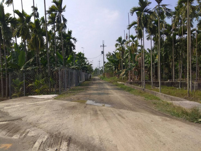 竹圍重劃農地