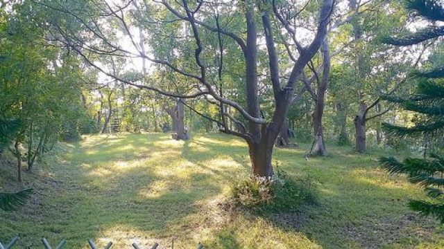 頭份後山優美休閒地*-*漂亮、清幽地點好