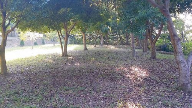 頭份後山優美休閒地*-*漂亮、清幽地點好