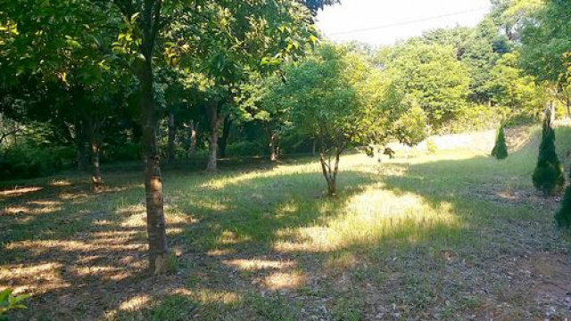 頭份後山優美休閒地*-*漂亮、清幽地點好