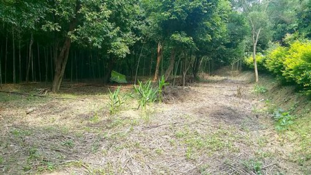 頭份便宜清幽休閒美地