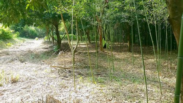 頭份便宜清幽休閒美地