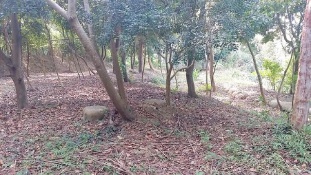 頭份便宜清幽休閒美地