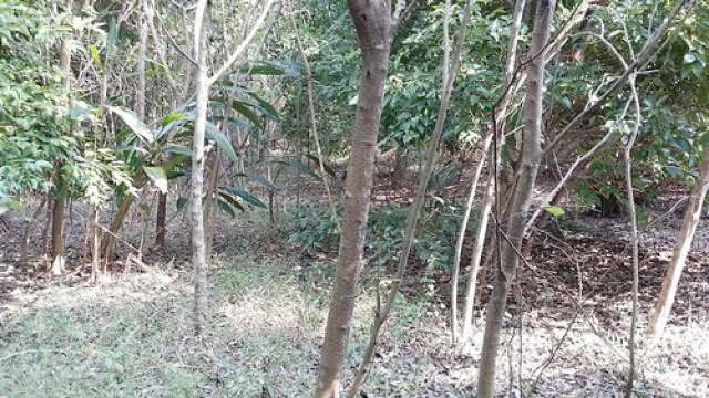 頭份便宜清幽休閒美地