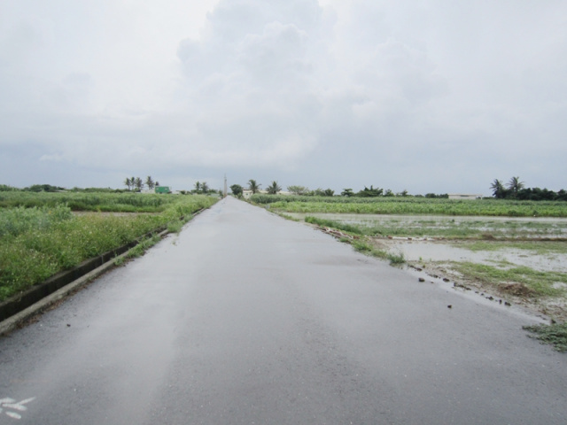 七股大埕段田地
