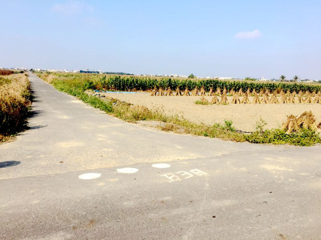 七股三合段農地