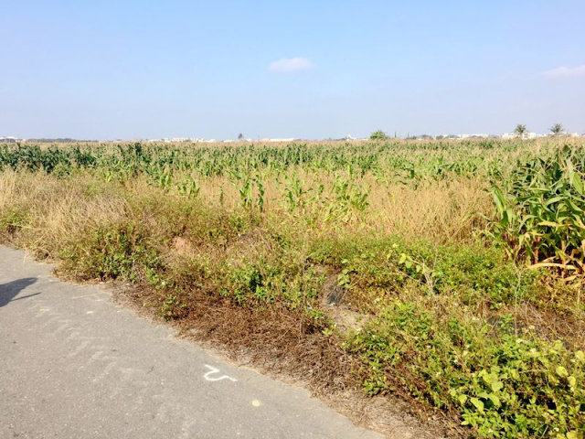 七股三合段農地