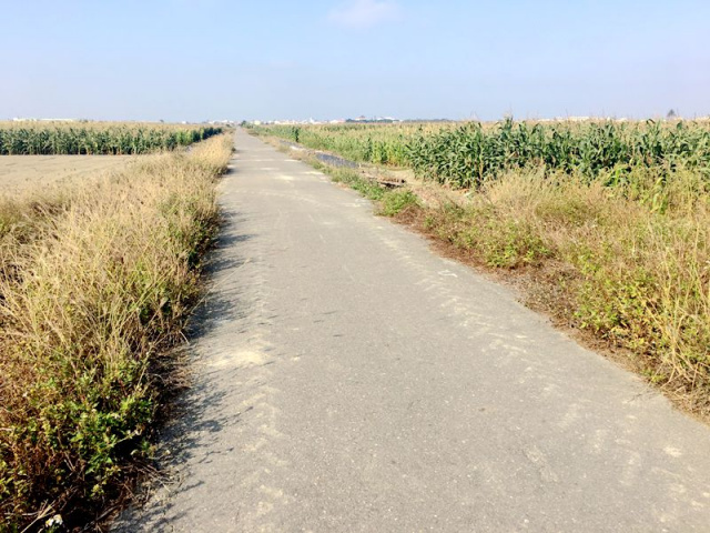 七股三合段農地