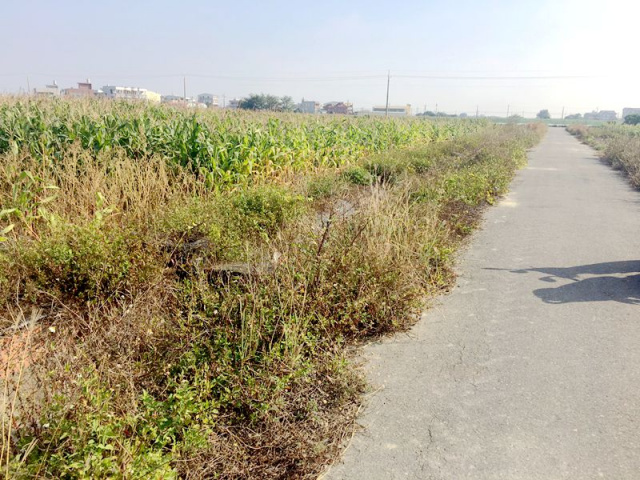 七股三合段農地