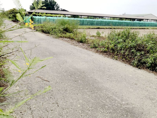 七股看坪段田地
